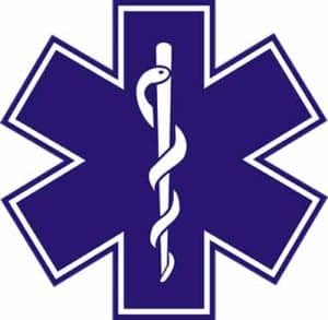 Texas paramedic badge.